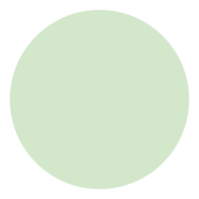 Lot de 10 adhésifs marquage au sol - rond photolum Ø 150mm - Novap