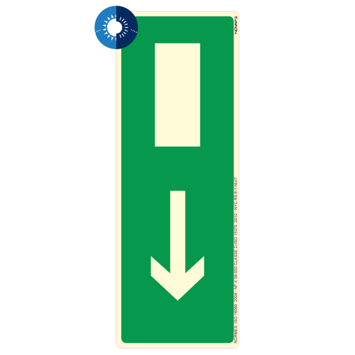 Panneau photoluminescent HD Sortie de secours en bas - rigide 330x120mm - Novap