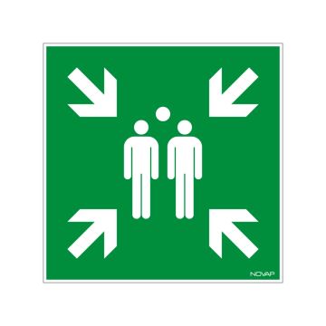 Panneau Point de rassemblement - Rigide 480x480mm - 4301044