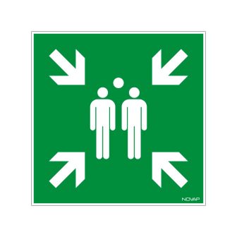 Panneau Point de rassemblement - Rigide 480x480mm - 4301044