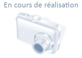 DISQUE DIAM 300 ATTENTION SORTIE DE CAMIONS  - OUTIBAT -